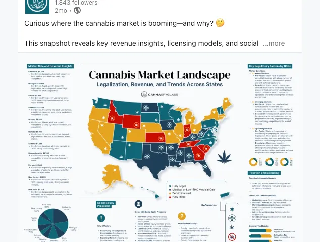 CannaSpyglass infographic by Gameplan