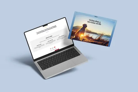 Winedog website, built and managed by Gameplan, 95 PageSpeed, structured for AI search