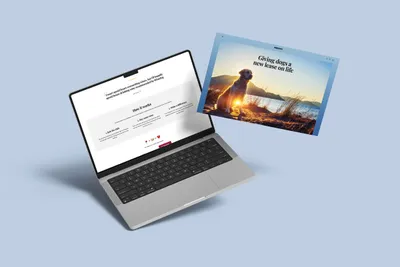 Winedog website designed by Gameplan