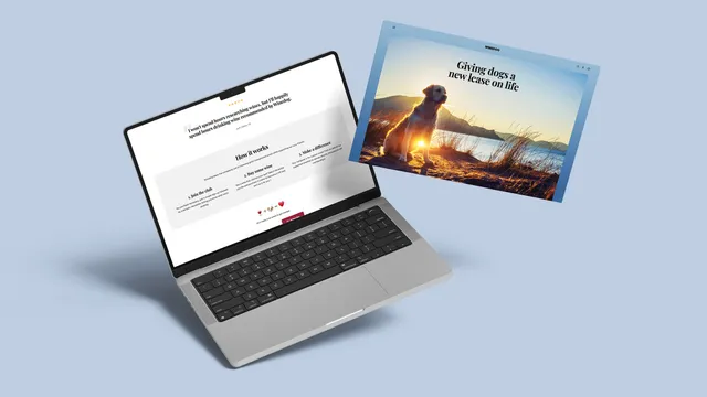 Winedog website designed by Gameplan
