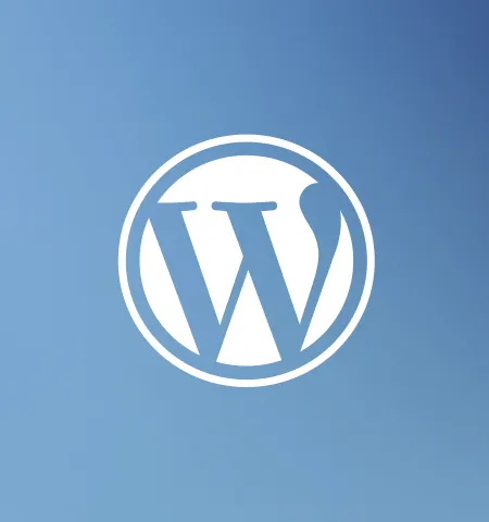 WordPress CMS dashboard — the plugin stack and admin overhead that comes with WordPress